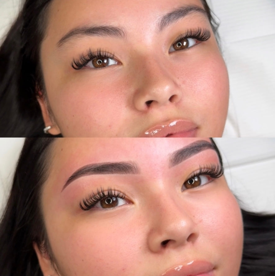 Master Brow Wax & Hybrid Stain 2-Day 2:1 Training