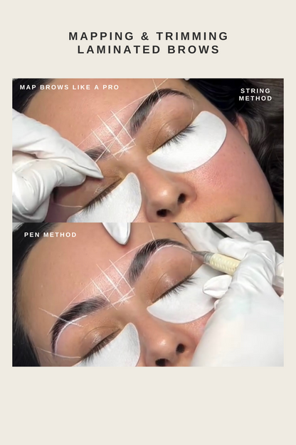 Online Brow Course: Brow Waxing, Lamination, & Stain Training